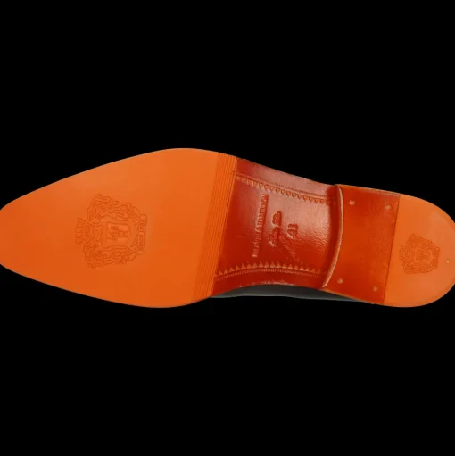 Leonardo 24